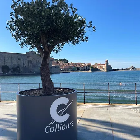 Saphir - Vue Et Montagne - Wifi Fibre- Piscine Et Garage Privé Apartamento *